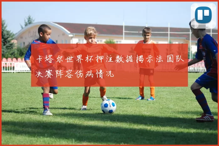 卡塔尔世界杯押注数据揭示法国队决赛阵容伤病情况
