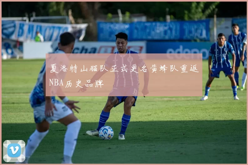 夏洛特山猫队正式更名黄蜂队重返NBA历史品牌