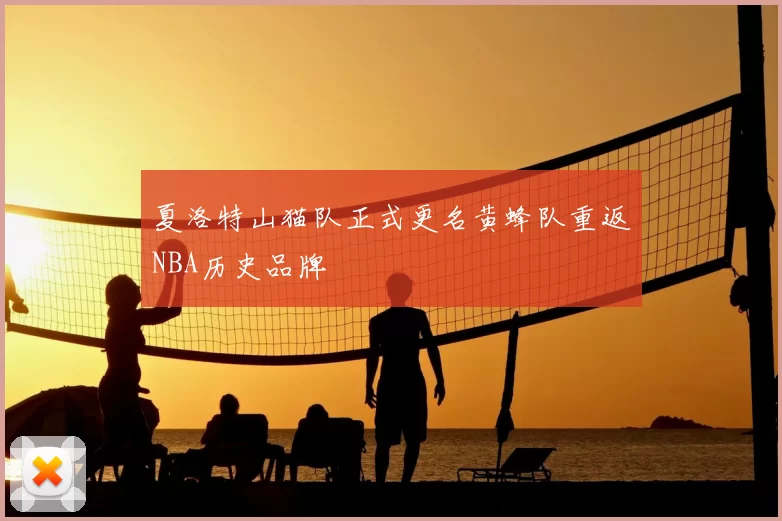 夏洛特山猫队正式更名黄蜂队重返NBA历史品牌