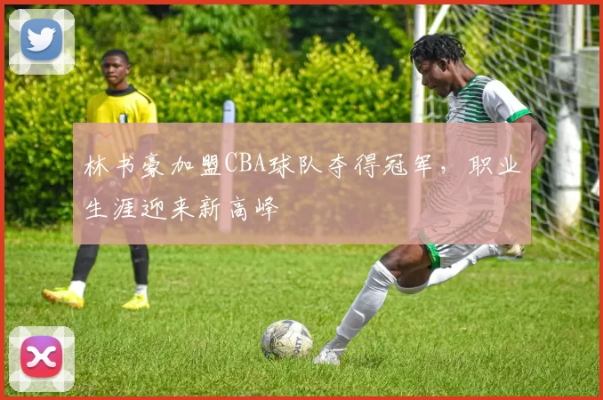 林书豪加盟CBA球队夺得冠军,职业生涯迎来新高峰