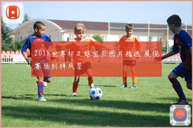 2018世界杯足球宝贝图片精选 展现赛场别样风景